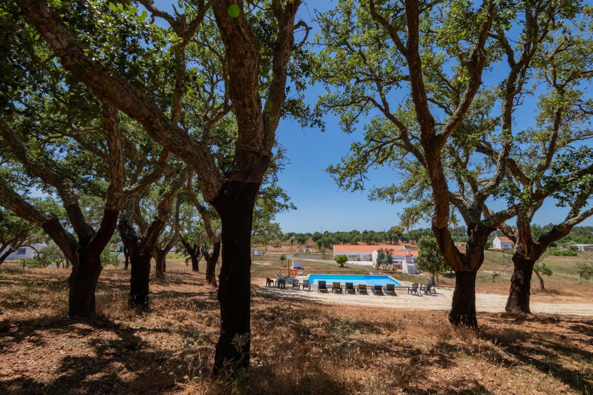 Valle D'Agua - Casas De Campo Vale de Água Eksteriør billede